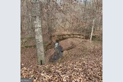 +/- 198 Acres Dennis Creek Road, Talbotton, GA 31827 - Photo 13