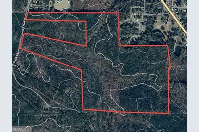 +/- 198 Acres Dennis Creek Road, Talbotton, GA 31827 - Photo 33
