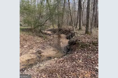 +/- 198 Acres Dennis Creek Road, Talbotton, GA 31827 - Photo 9