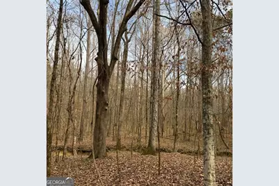 +/- 198 Acres Dennis Creek Road, Talbotton, GA 31827 - Photo 17