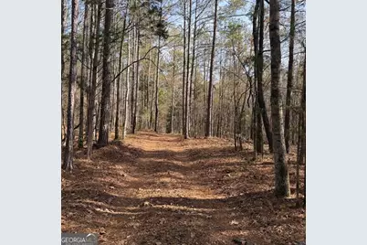 +/- 198 Acres Dennis Creek Road, Talbotton, GA 31827 - Photo 1