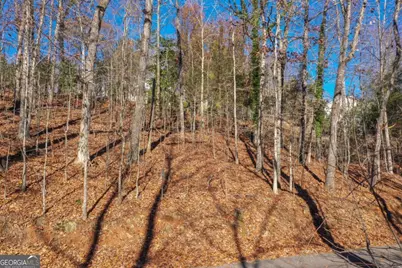 3442 Jet Wright Road, Gainesville, GA 30506 - Photo 15