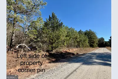 3075 Gregg Shoals Drive, Elberton, GA 30635 - Photo 5