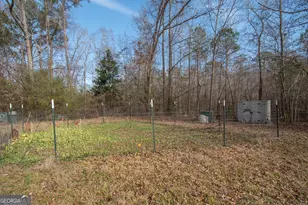 151 Evans Rd, Milner, GA 30257 - Photo 57