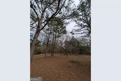 11080 White House Parkway, Woodbury, GA 30293 - Photo 33