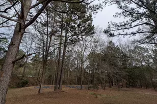 11080 Whitehouse Pkwy, Woodbury, GA 30293 - Photo 33