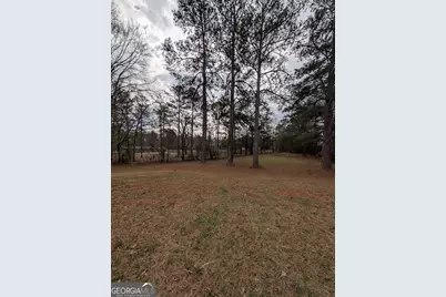 11080 White House Parkway, Woodbury, GA 30293 - Photo 13