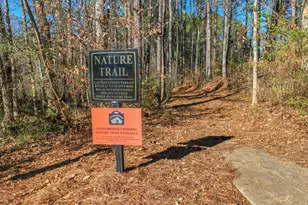 18 Stone Ct, Newnan, GA 30265 - Photo 51