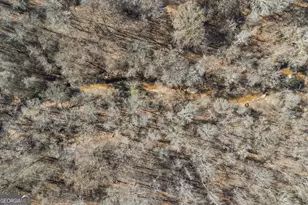 747 Washington Rd, Lexington, GA 30648 - Photo 75