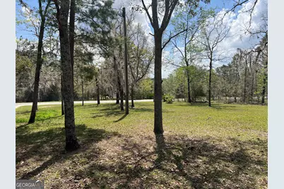 261 Colorado Road, Alma, GA 31510 - Photo 7