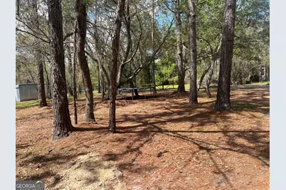 261 Colorado Road, Alma, GA 31510 - Photo 35