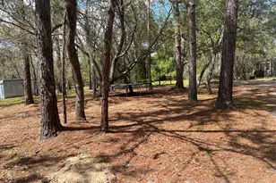 261 Colorado Rd, Alma, GA 31510 - Photo 35