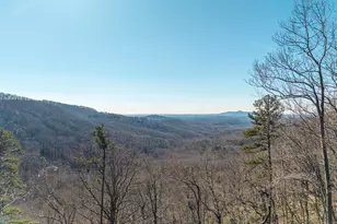 Lot 109A Folkstone Rd, Talking Rock, GA 30175 - Photo 1