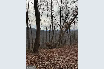Lot 109A Folkstone Road, Talking Rock, GA 30175 - Photo 17