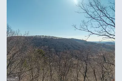 Lot 109A Folkstone Road, Talking Rock, GA 30175 - Photo 5