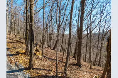 Lot 109B Folkstone Road, Talking Rock, GA 30175 - Photo 3