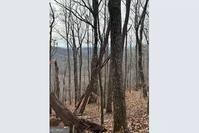 Lot 109B Folkstone Road, Talking Rock, GA 30175 - Photo 23