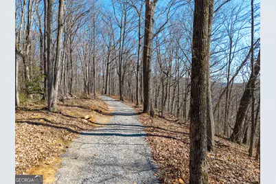 Lot 109B Folkstone Road, Talking Rock, GA 30175 - Photo 19