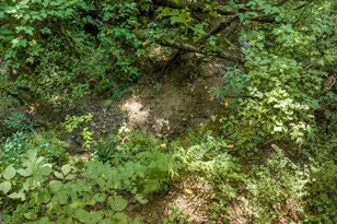 126 Loggins Trail, Commerce, GA 30529 - Photo 35