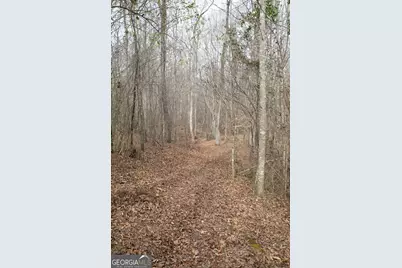 0 Kesler, Carnesville, GA 30521 - Photo 5