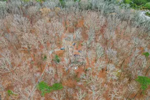 1060 NW Bethel Rd, Conyers, GA 30012 - Photo 35