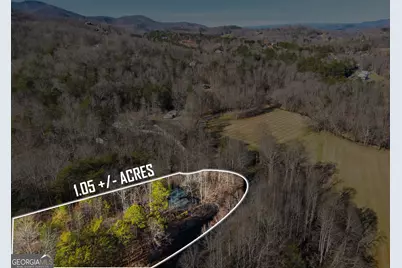 1637 Townsend Mill Road, Young Harris, GA 30582 - Photo 49