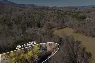 1637 Townsend Mill Rd, Young Harris, GA 30582 - Photo 49