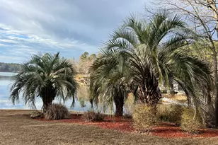 64 Bay Point, Sparta, GA 31087 - Photo 33