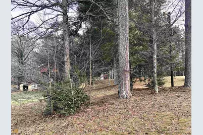 3750 Old Cleveland Road, Cornelia, GA 30531 - Photo 5