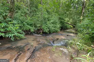 966 Wahoo Creek Rd, Murrayville, GA 30564 - Photo 71