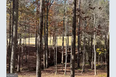 6218 Zell Miller Path NW, Acworth, GA 30101 - Photo 31