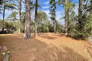 423 Richards, Millen, GA 30442 - Photo 27