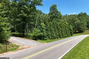 3373 Hardscrabble Rd, Mineral Bluff, GA 30559 - Photo 5