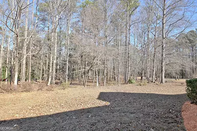 155 Dana Drive, Fayetteville, GA 30215 - Photo 63