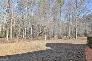 155 Dana Dr, Fayetteville, GA 30215 - Photo 63