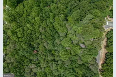 0 Plum Lane, Clarkesville, GA 30523 - Photo 3