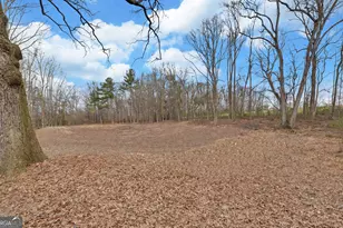 3798 Bethany Bowersville Rd, Canon, GA 30520 - Photo 35