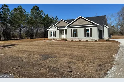 4381 Nessmith Road, Statesboro, GA 30458 - Photo 3