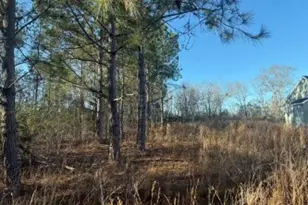 4381 Nessmith Rd, Statesboro, GA 30458 - Photo 11