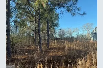 4381 Nessmith Road, Statesboro, GA 30458 - Photo 7