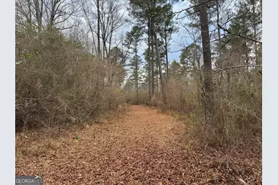 580 I B Howard Road, Williamson, GA 30292 - Photo 115