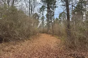 580 I B Howard Rd, Williamson, GA 30292 - Photo 115