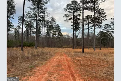 580 I B Howard Road, Williamson, GA 30292 - Photo 117