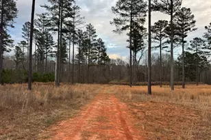 580 I B Howard Rd, Williamson, GA 30292 - Photo 117