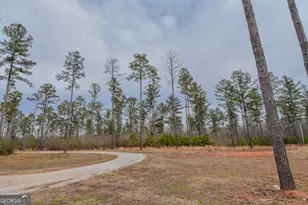 580 I B Howard Rd, Williamson, GA 30292 - Photo 77