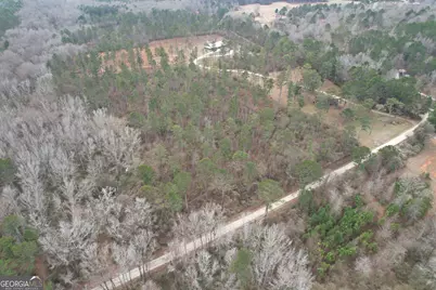 580 I B Howard Road, Williamson, GA 30292 - Photo 93