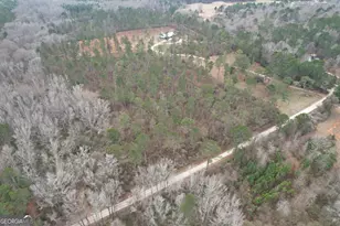 580 I B Howard Rd, Williamson, GA 30292 - Photo 93