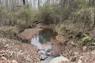 580 I B Howard Rd, Williamson, GA 30292 - Photo 113