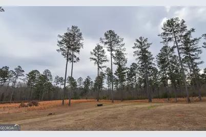 580 I B Howard Road, Williamson, GA 30292 - Photo 61