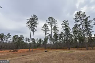 580 I B Howard Rd, Williamson, GA 30292 - Photo 61